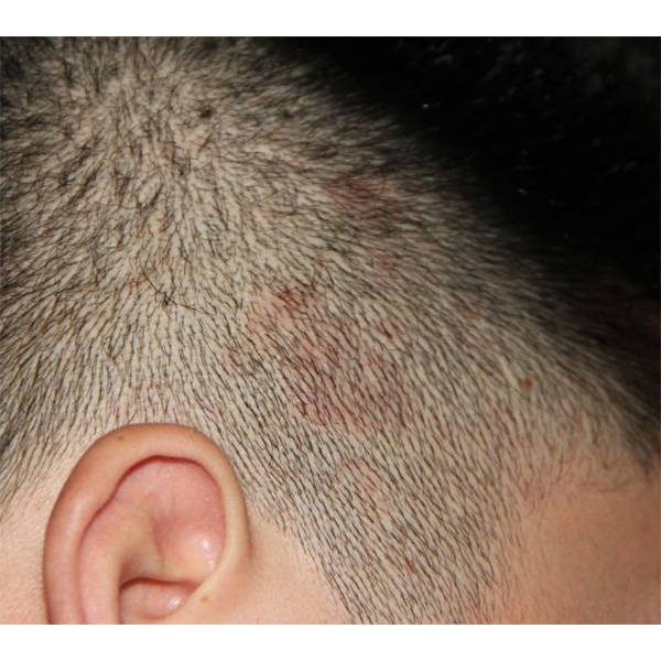 国产洗发水品牌哪个好