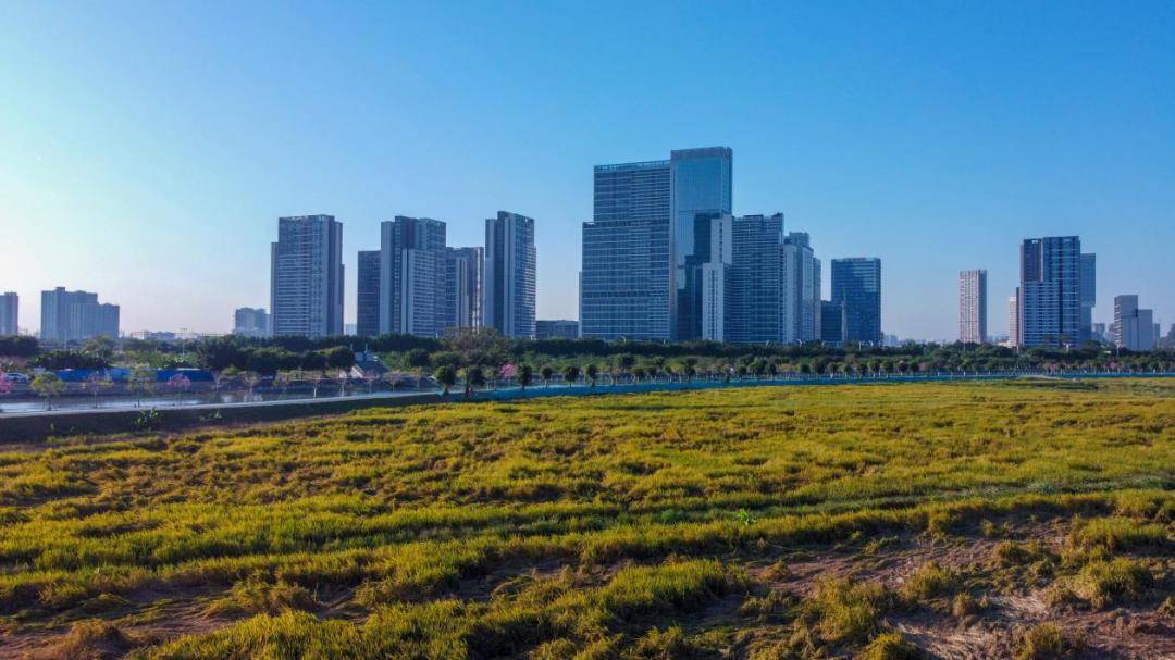 钟村街与中山大学新闻传播学院开展合作共建交流