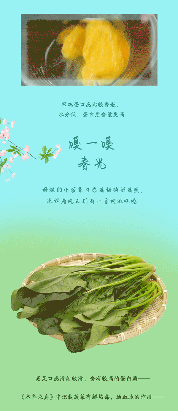 【欧亚世纪】老昌春饼 春分|早春到 吃春菜 竖鸡蛋 享春意_侵权_图片
