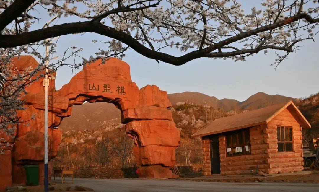 赞皇县第二届杏花节邀您来赏花!速速了解交通管制措施→_违法_车辆_游