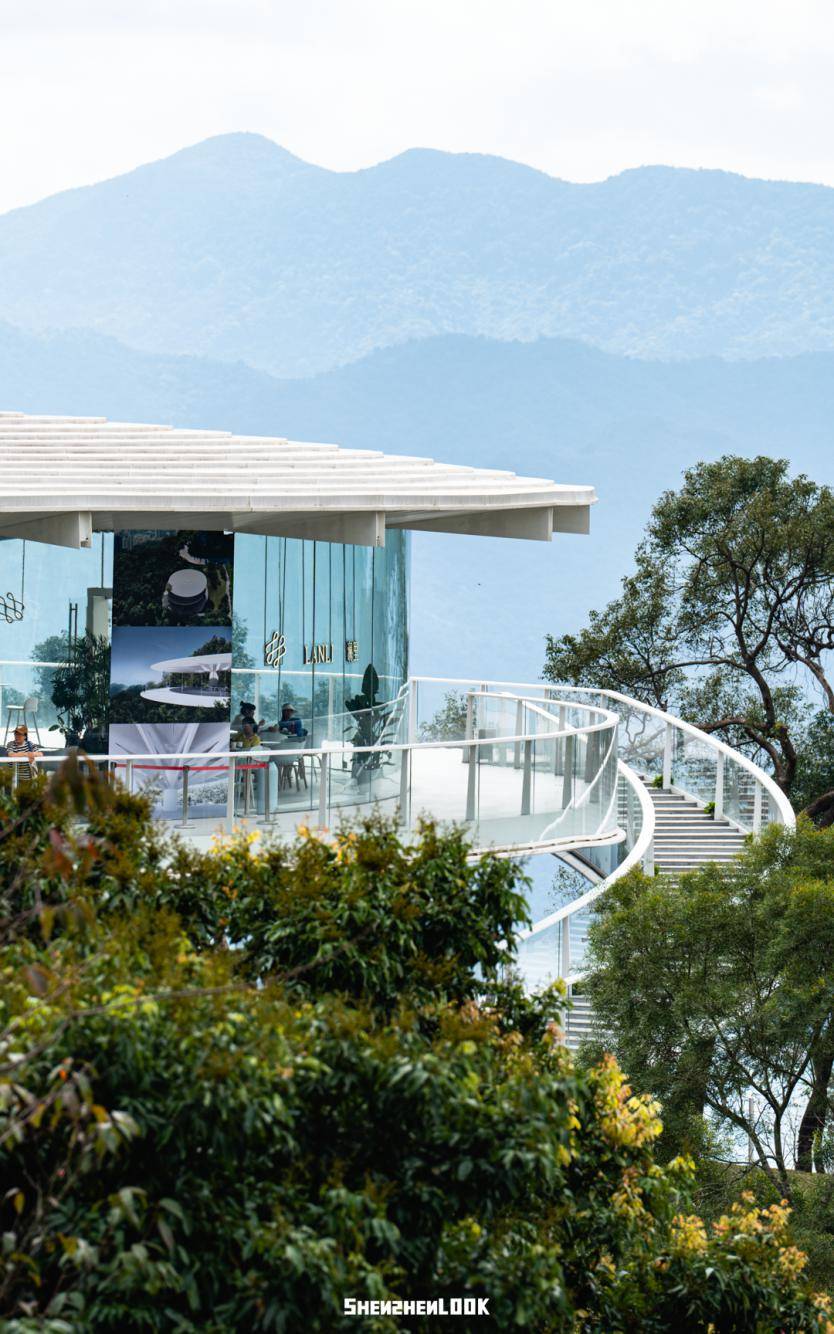 深圳山海新地标,巨型「蒲公英」开放了_梧桐_海山路_公园