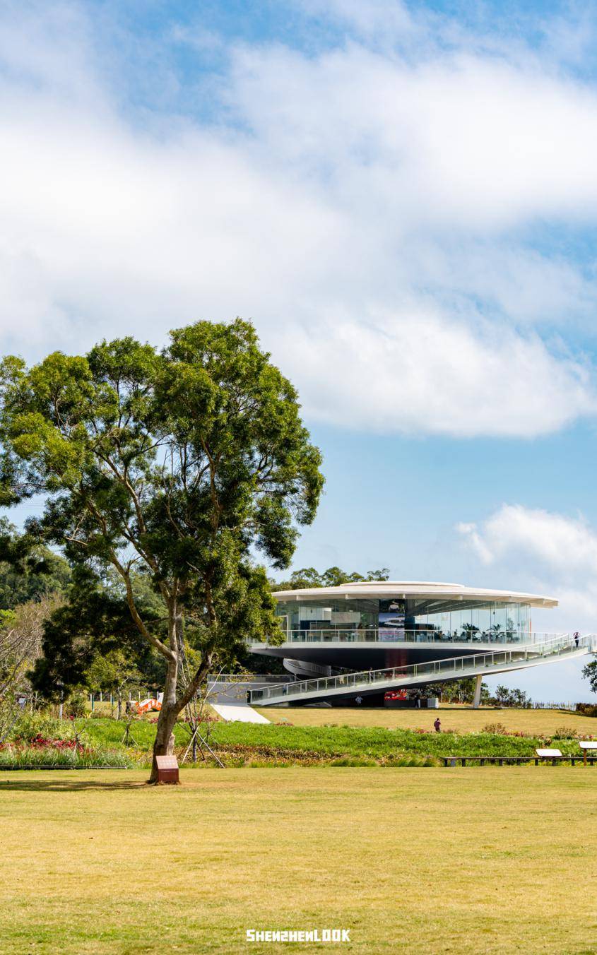 深圳山海新地标,巨型「蒲公英」开放了_梧桐_海山路_公园