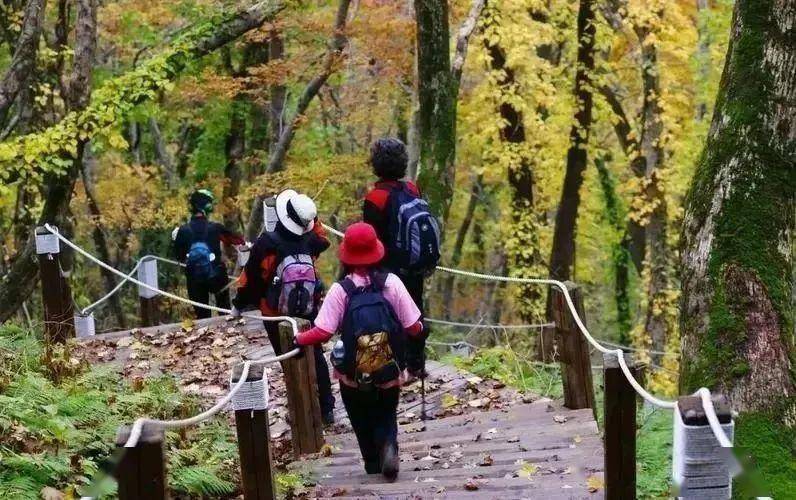 来徽州上春山户外踏青快来屯溪解锁浪漫春日游春游江淮