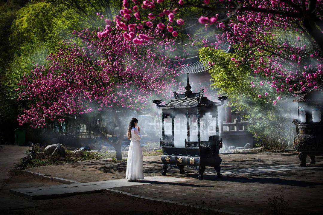 图/图虫·创意"人间四月芳菲尽,山寺桃花始盛开".