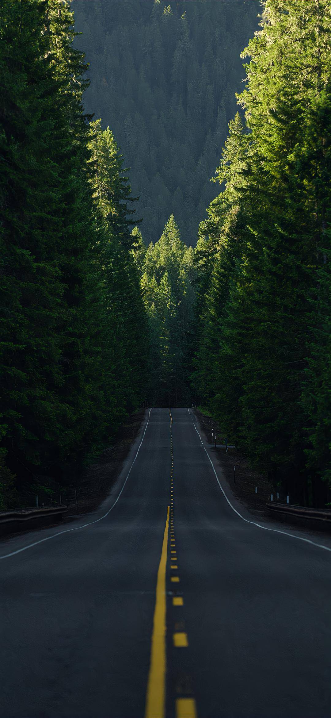 1080_2341竖版 竖屏