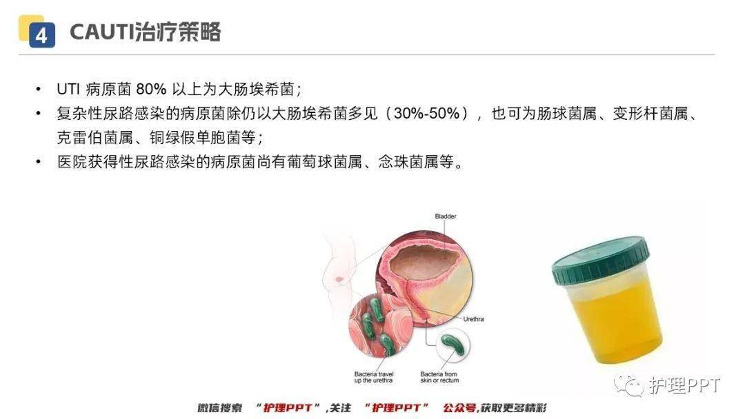 ppt导尿管相关尿路感染护理