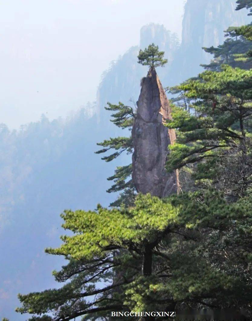 春游江南8醉黄山