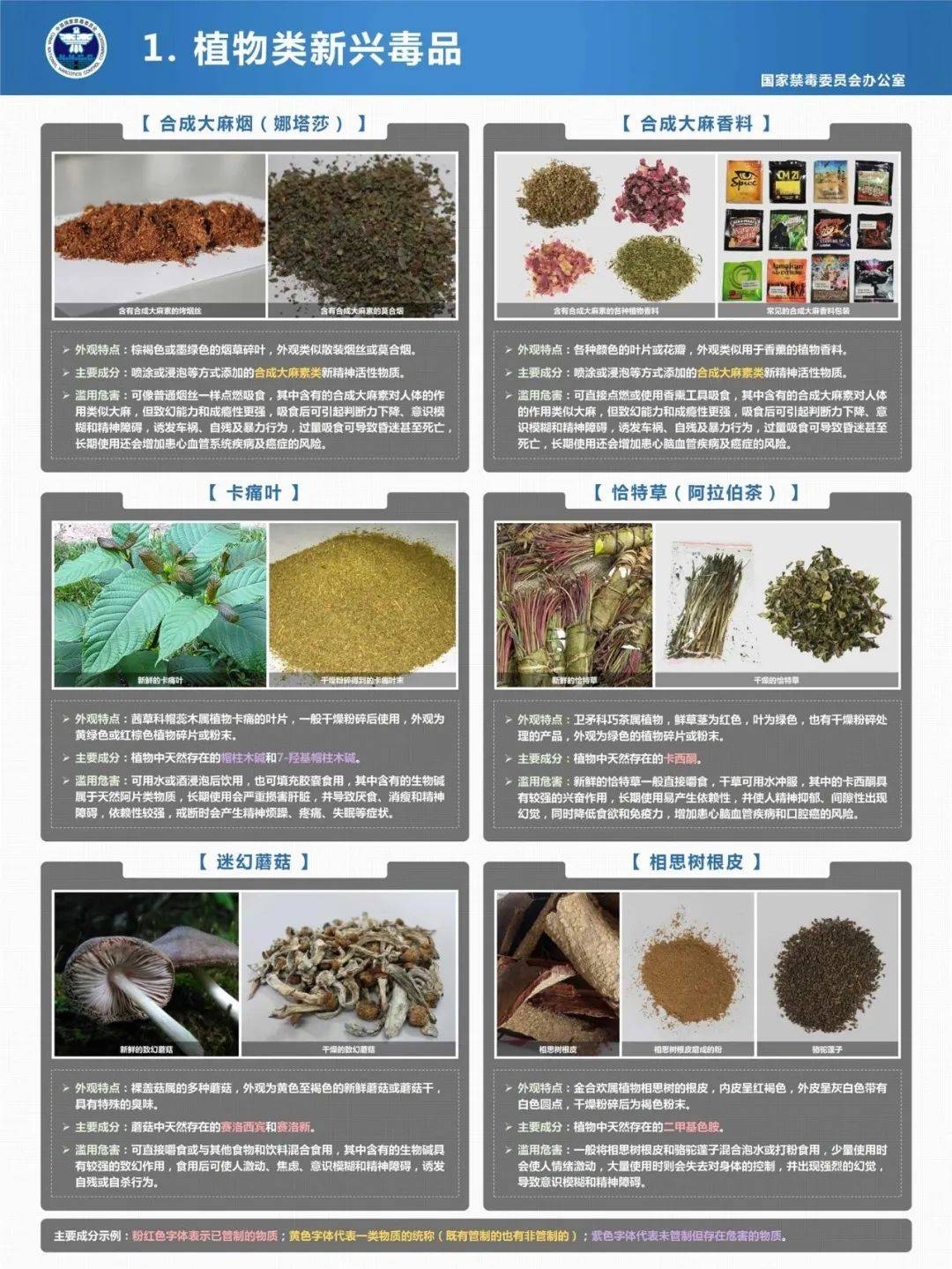 广大青少年,珍爱生命,远离毒品!