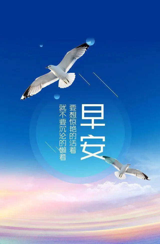 3月18日早安正能量元气满满语录句子:在阳光下放飞心情,把未知的事