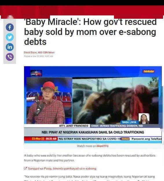 血腥的斗鸡产业 | 泼天富贵背后是不断失踪的斗鸡者__