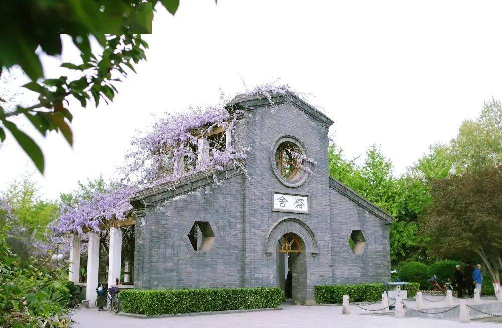 即将被花海包围保定这六处赏花地美到开挂