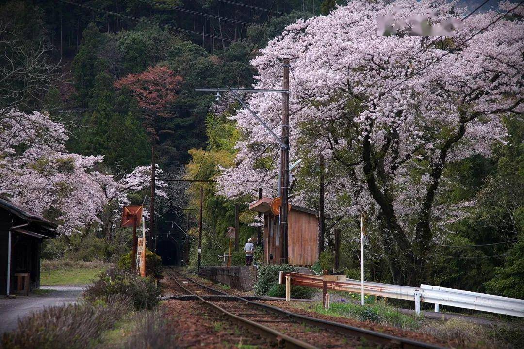 日本风景 真实图片