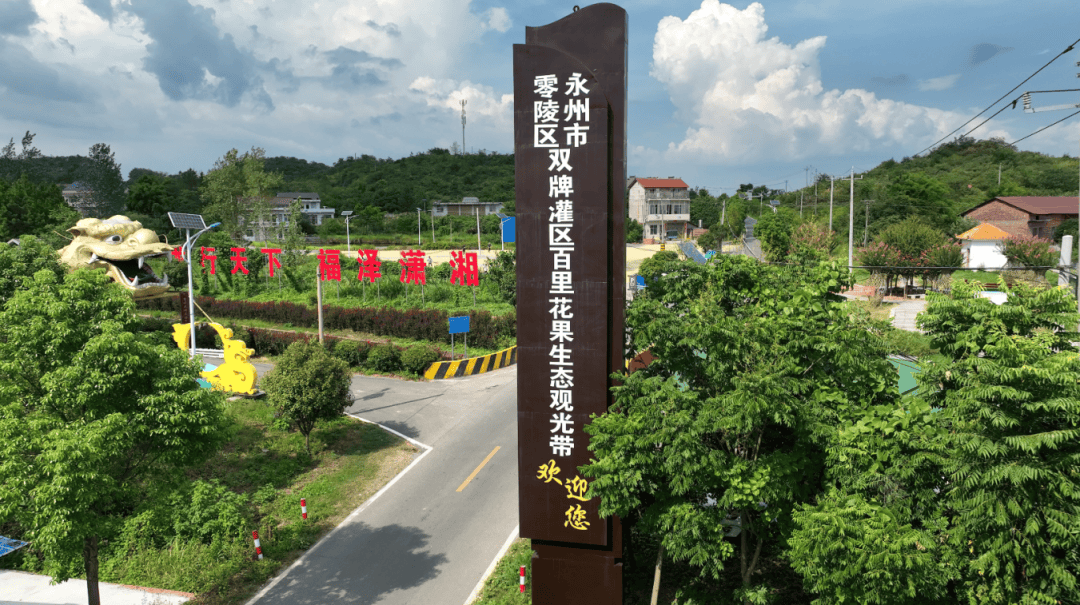 【乡镇观察】梨花,桃花,油菜花……快来接履桥看花花世界_乡村_特色