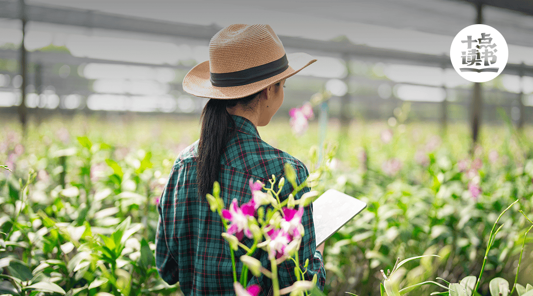 王安忆桃之夭夭内心越强大的女人越柔软