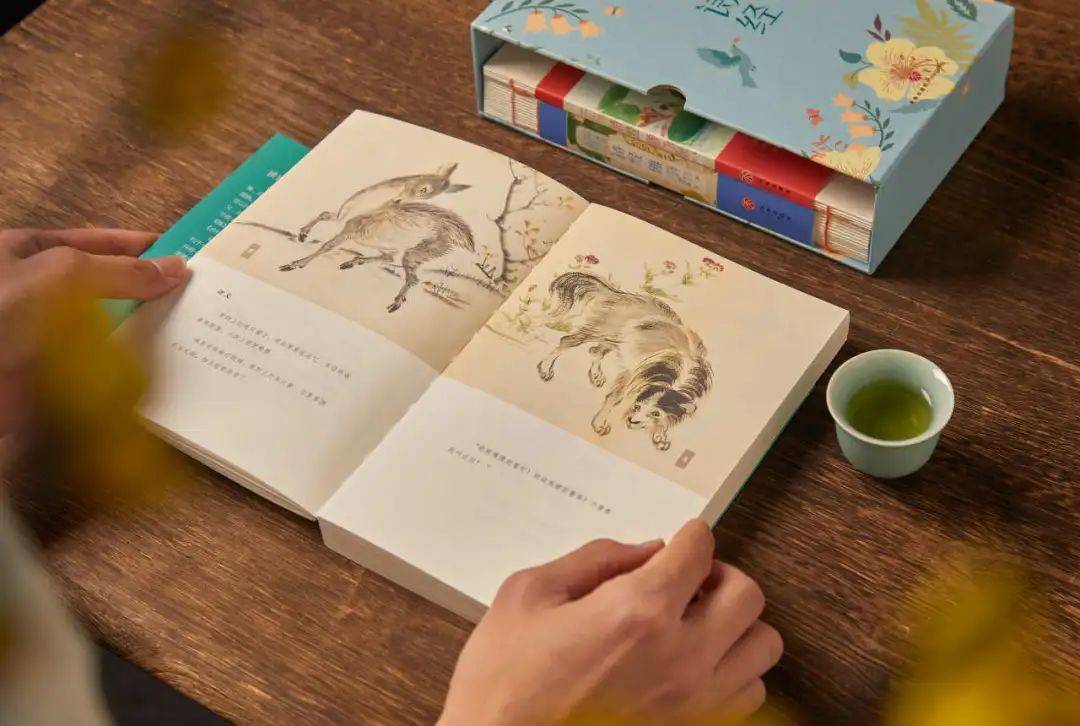 三联中读丨春天就该读诗经啊