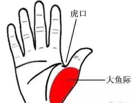手掌内通五脏六腑,中医按先后天八卦将手掌分为八个区域,每一个卦象