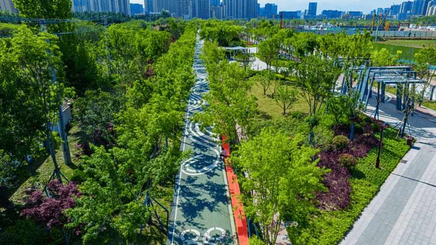 西安高新区赴春日之约 展城区新貌_管理_绿化带_公园