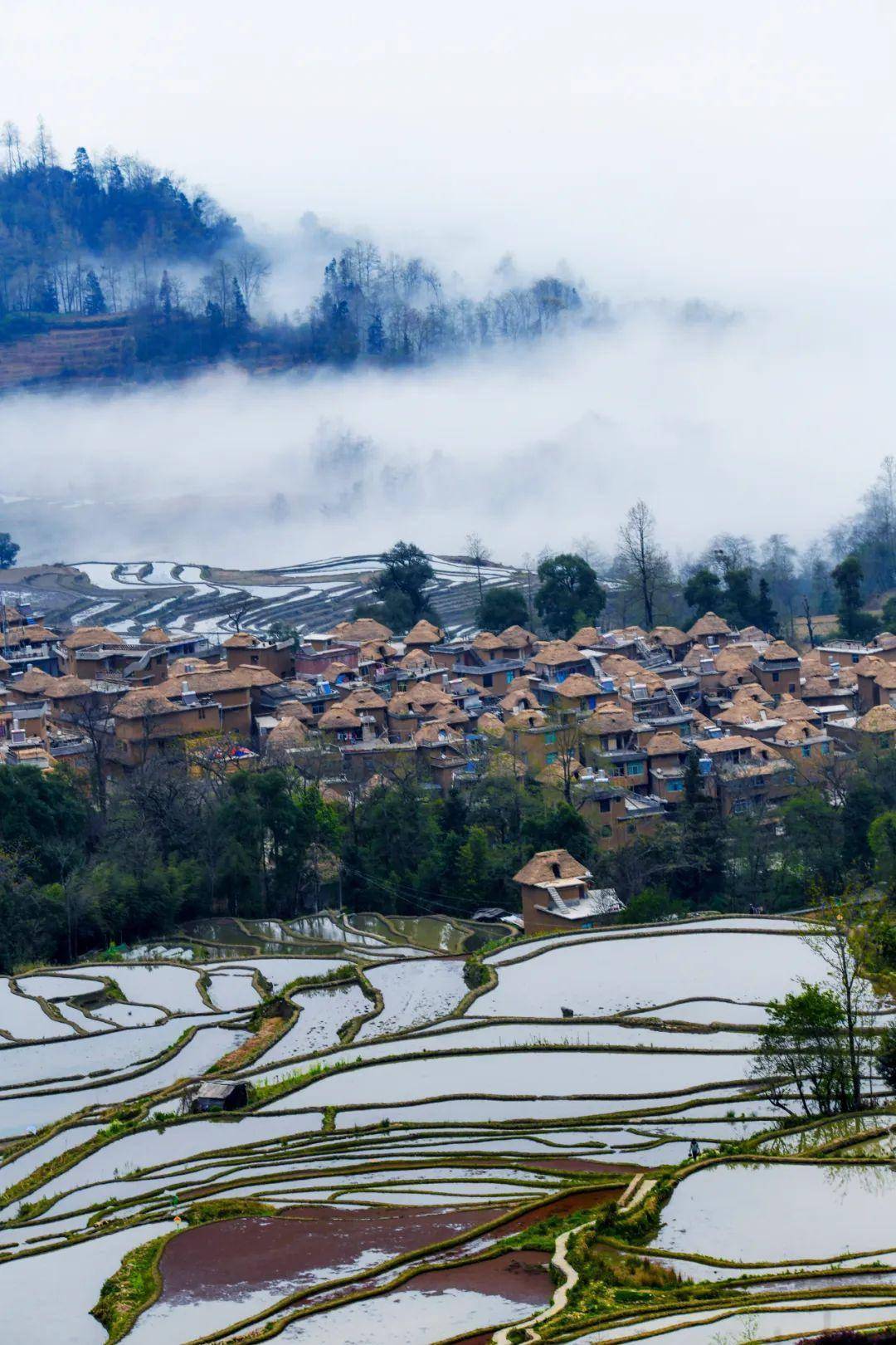 在这样一个生生不息的生态系统中,哈尼人自得其乐,他们从村寨进入梯田