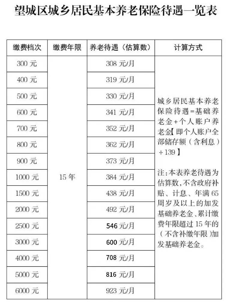 养老保险明细表模板图片