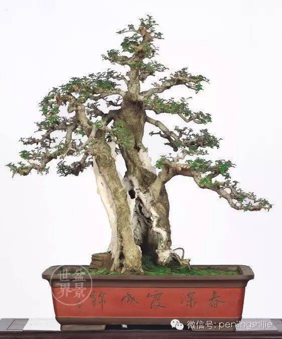 一空万有_cm_作品_博兰