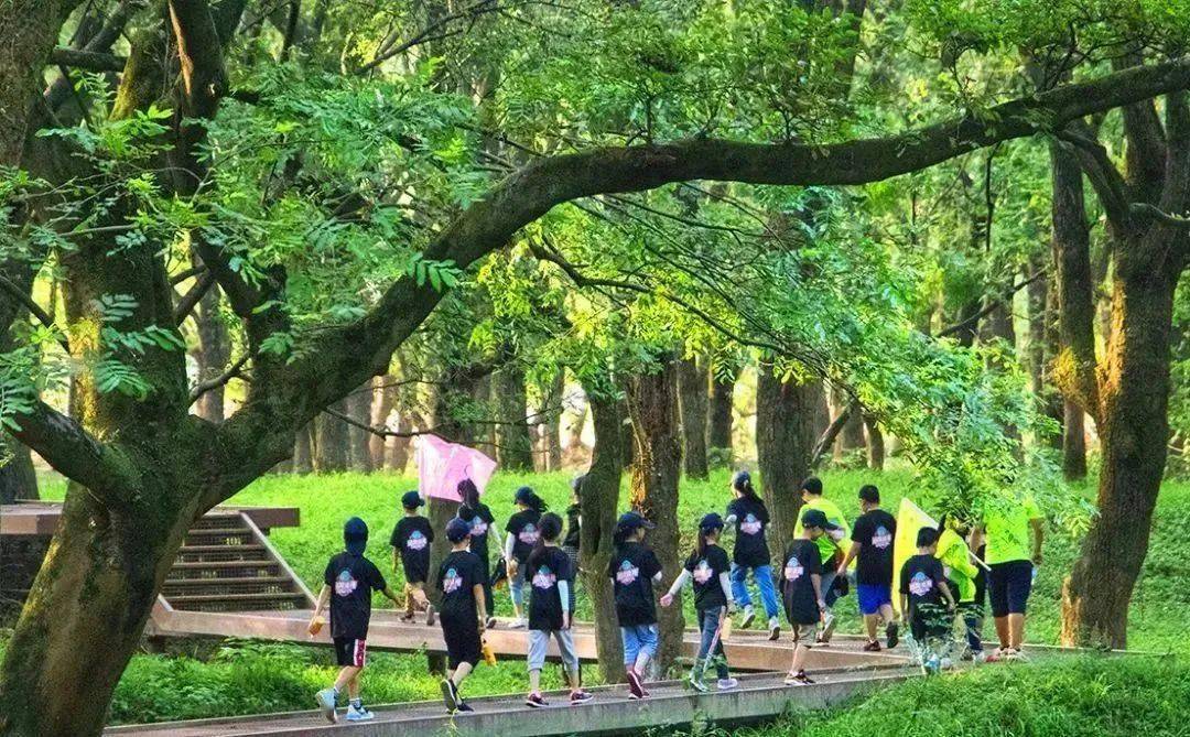 环岛勘察捕鱼,丛林徒步,野外急救,泥潭历险,野生厨房,还有水陆空