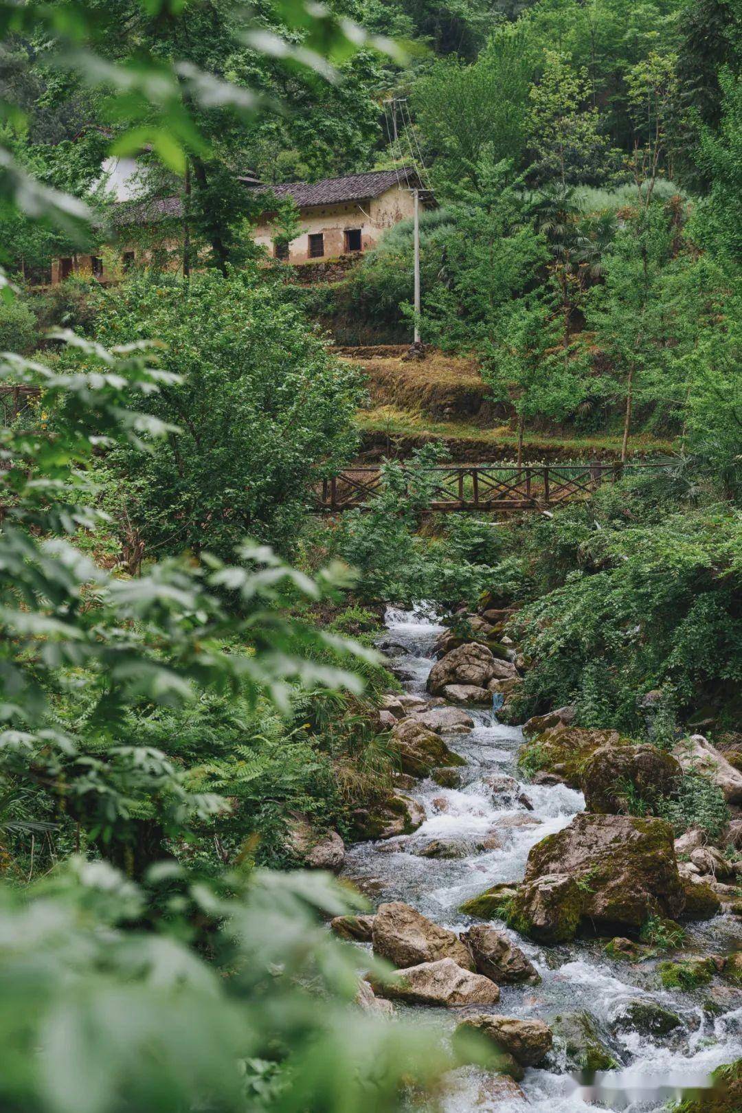 身披渊源千载面向春山万里宁强春日度假攻略
