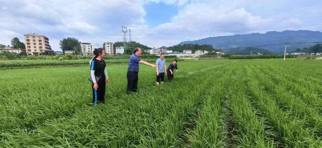 創一流湖大何為新華網專訪校長劉建平