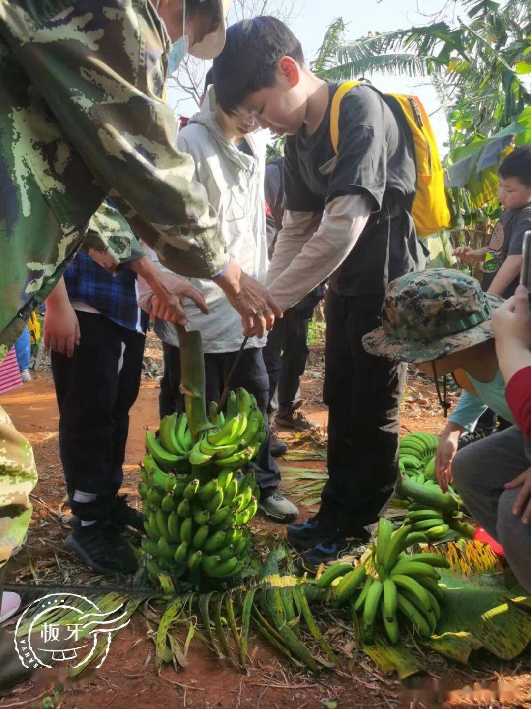 晚上9点麦当劳目睹心酸一幕孩子和我都被狠狠上了一课