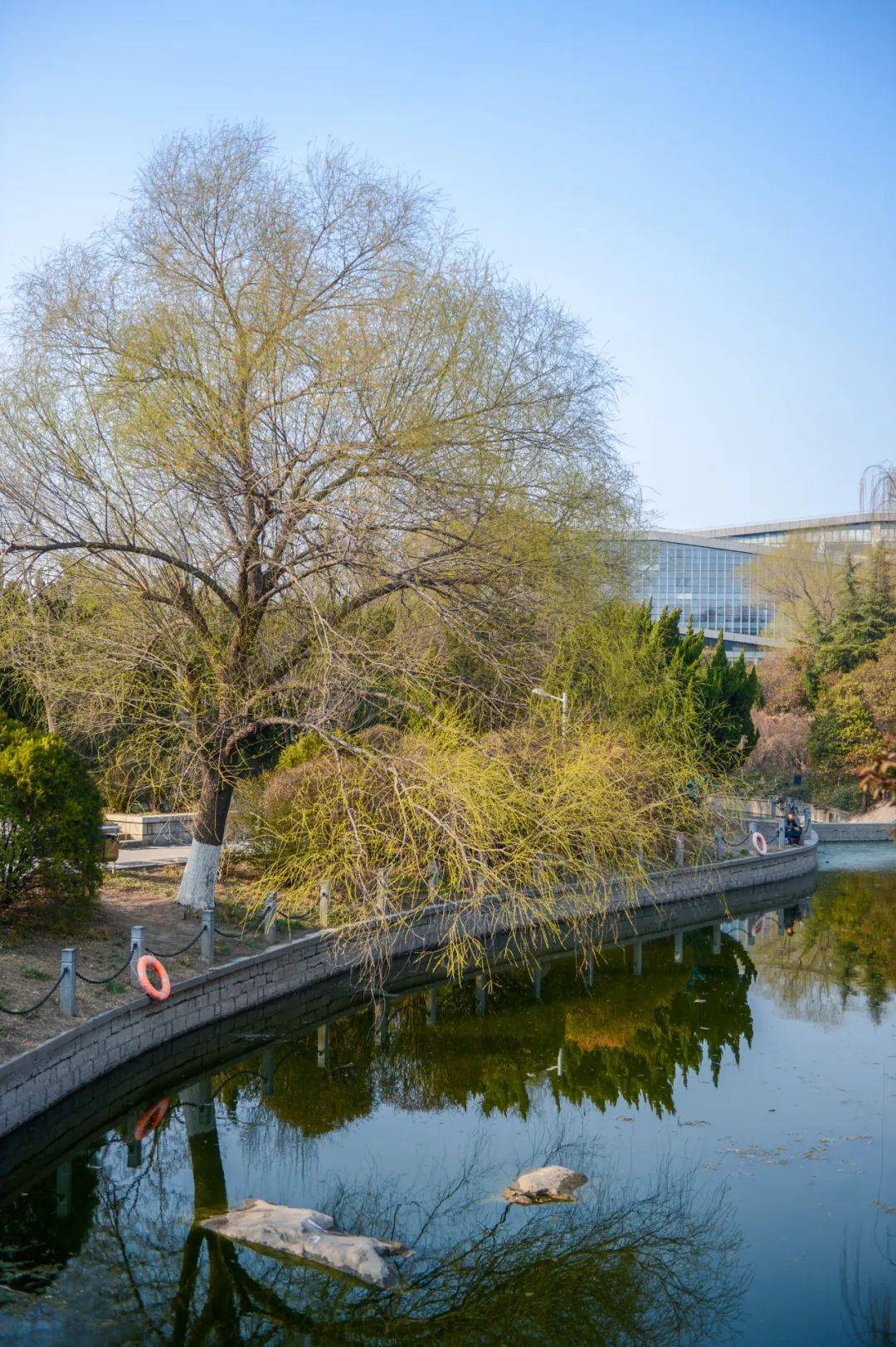 济南近郊免费景点图片