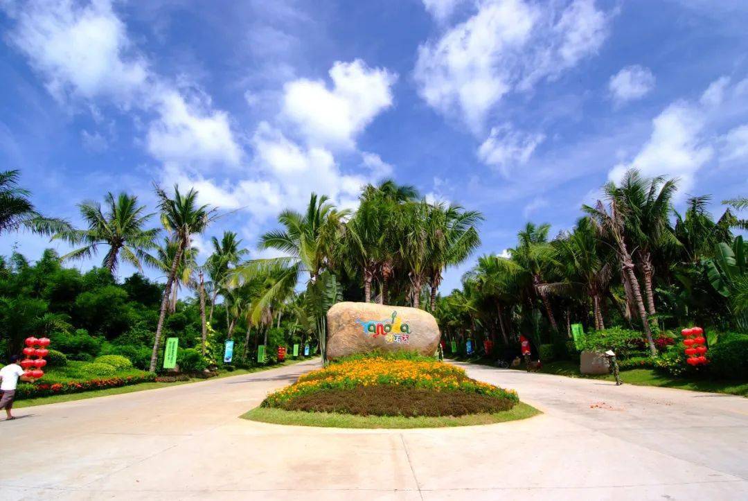 图源:保亭旅文呀诺达景区雨林资源得天独厚,生态环境类型多样,孕育着