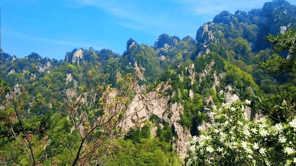 三月天,蓝田约你「上春山」_王顺山_秦岭_旅游