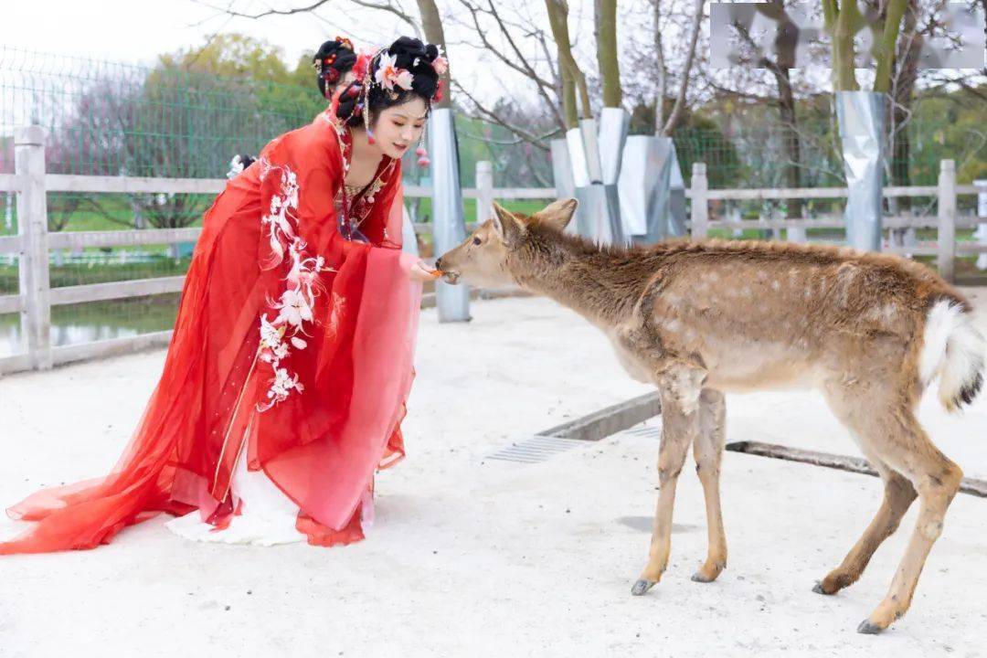 国风盛会花神降临云澜湾花神节免费入园啦游玩指南来了快收藏好