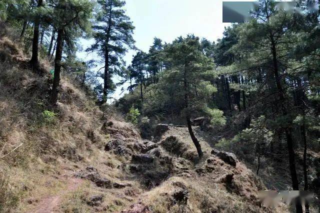 弥渡县的三条古驿道