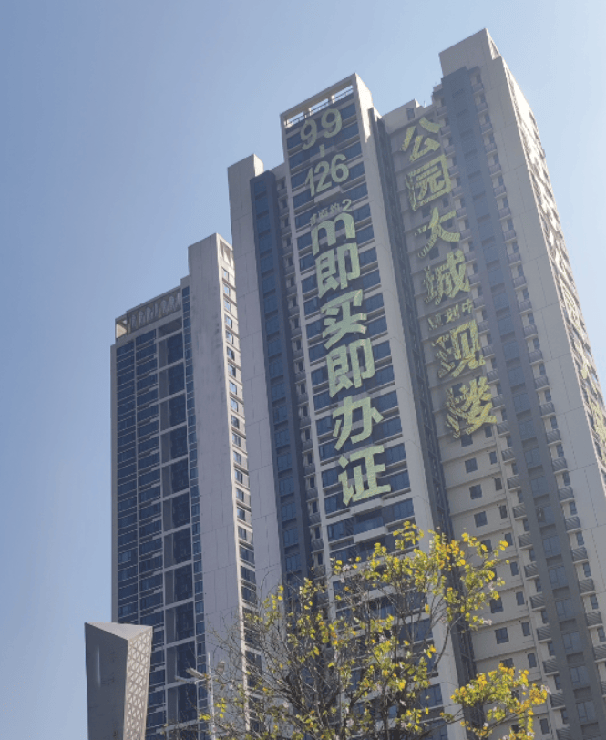 死鸭子嘴硬35万㎡买入现在25万㎡他说不后悔