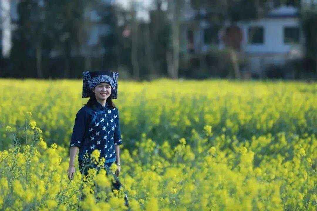 绿博黔南·相约春山 ②赏· 黔南春天_油菜花_长顺县_乡村旅游