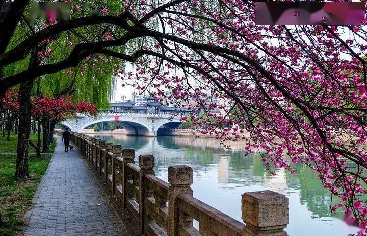 此时不来扬州,更待何时?