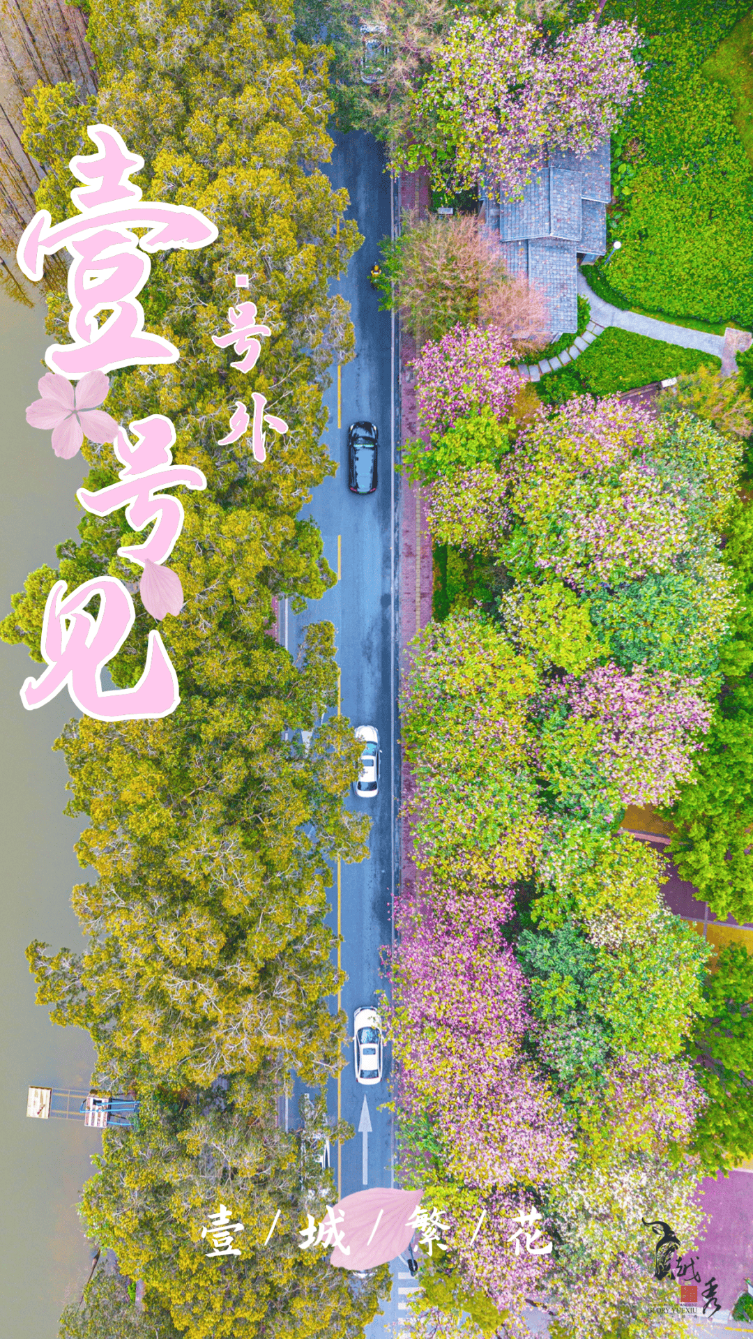 壹城繁花浪漫满溢春意浓