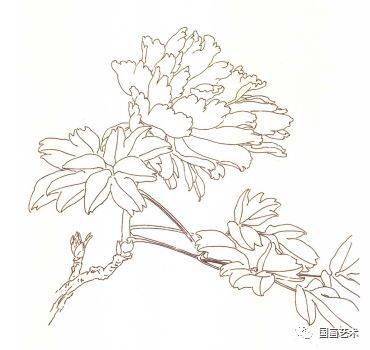 工笔名家邹传安画牡丹芍药,典雅细腻(内附教程)_花鸟_中国美术馆_艺术