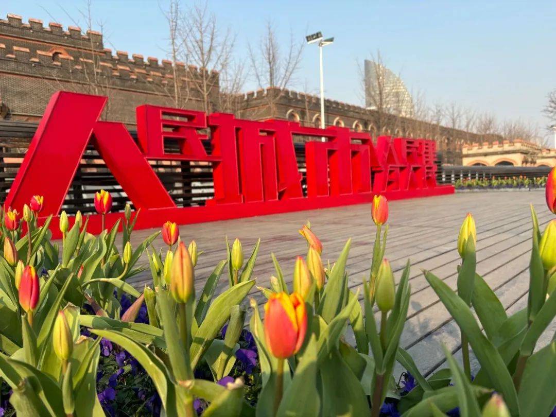 不久前,东辽阳中学的学生们在老师的带领下来到杨浦滨江,实地观察