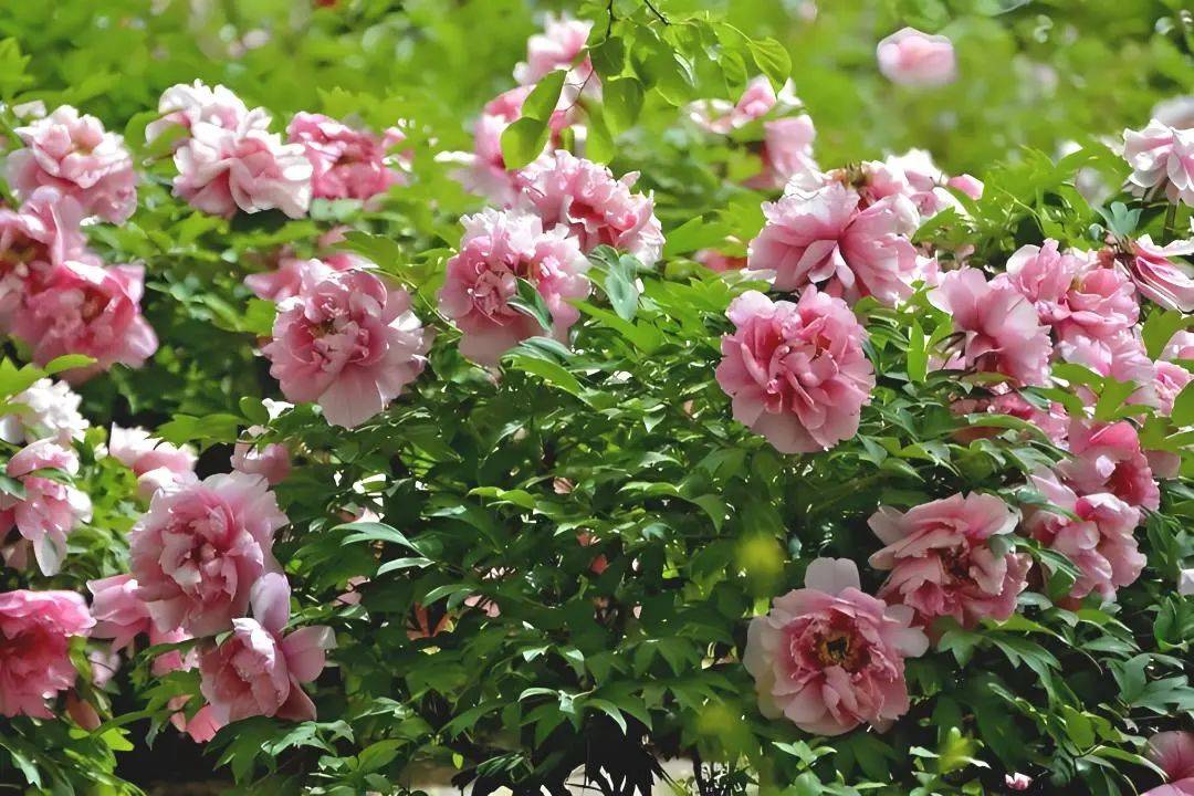 向新而行丨太原竟是这样的花花世界