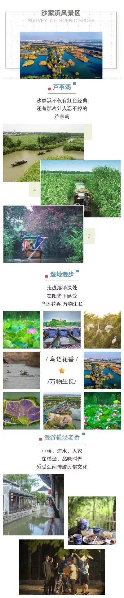 烟花三月醉美扬州329号成团瘦西湖千垛油菜花海李中森林西塘乌镇西栅