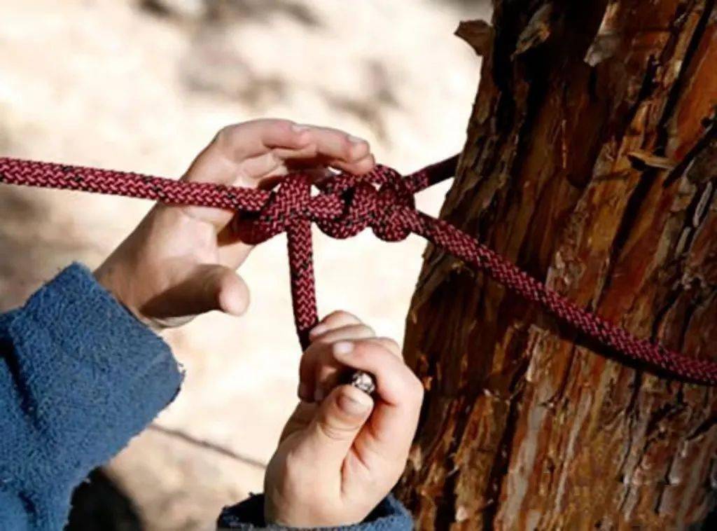绳结在野外生存中有各种妙用学习起来可不简单绳结技能—作为小小猎人