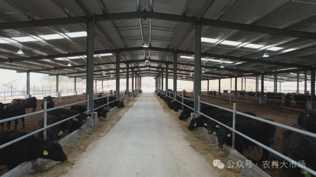 打造出了一批特色鲜明,主题突出的乡村振兴示范养殖基地