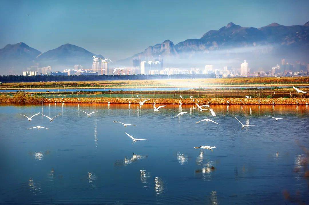 今天11时06分,乐清正式进入!_公园_书苑_西塔