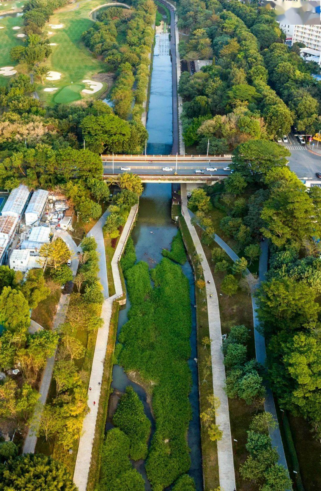 春分至西岸哲学步道大沙河原来如此深刻