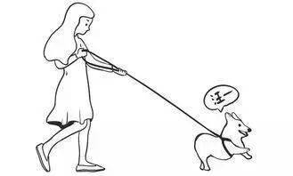 狗狗_当阳_雄风