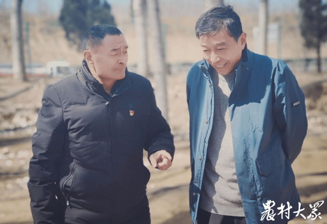 万德街道菌菜轮作立体种养赋能乡村产业振兴