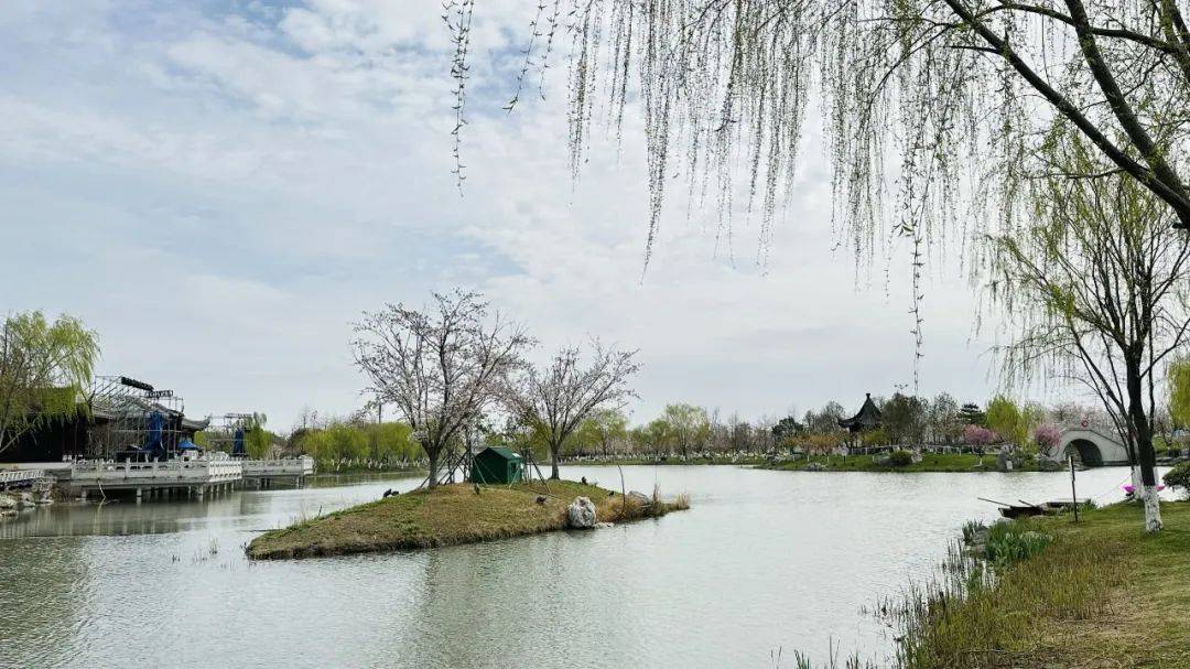 大洋湾一日游 | "樱"爱而来 "郁"你同享 99元 花花世界深度游_樱花