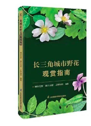 野孩子报名春分已至是时候开启觅春之旅了