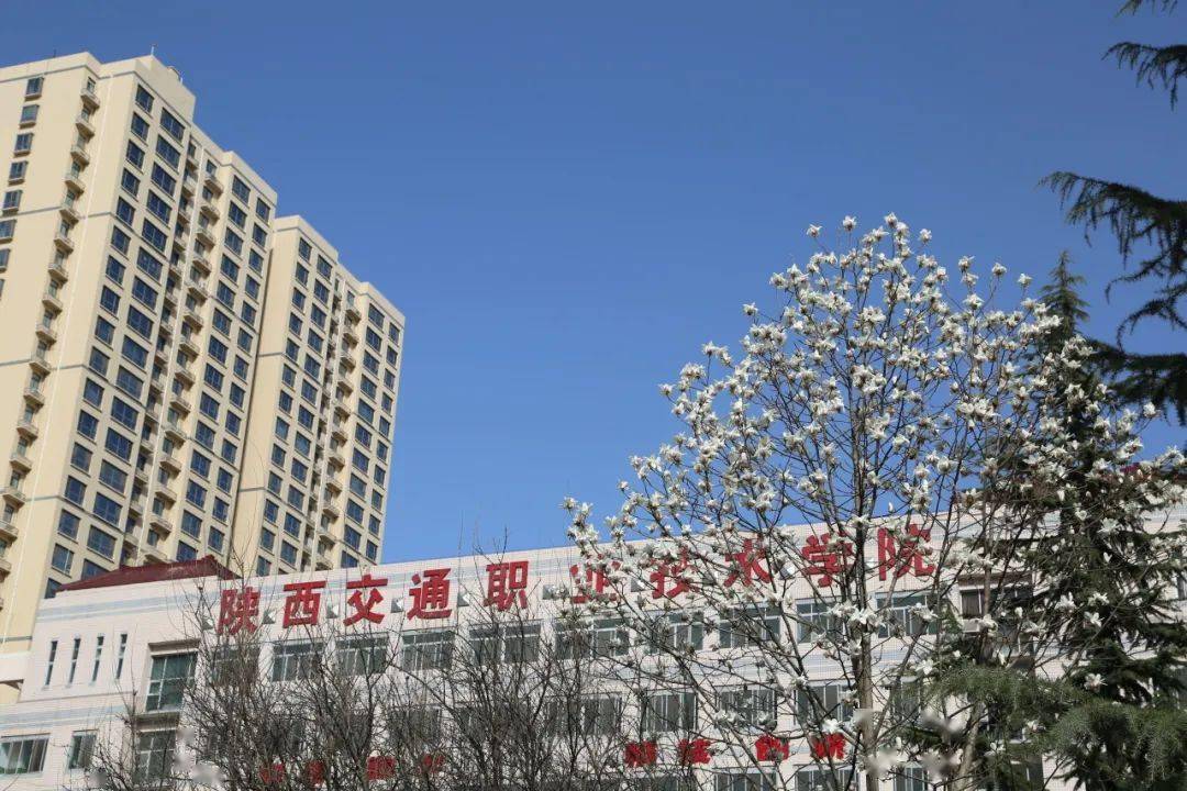 今日春分晒出陕西交院的浪漫春景吧